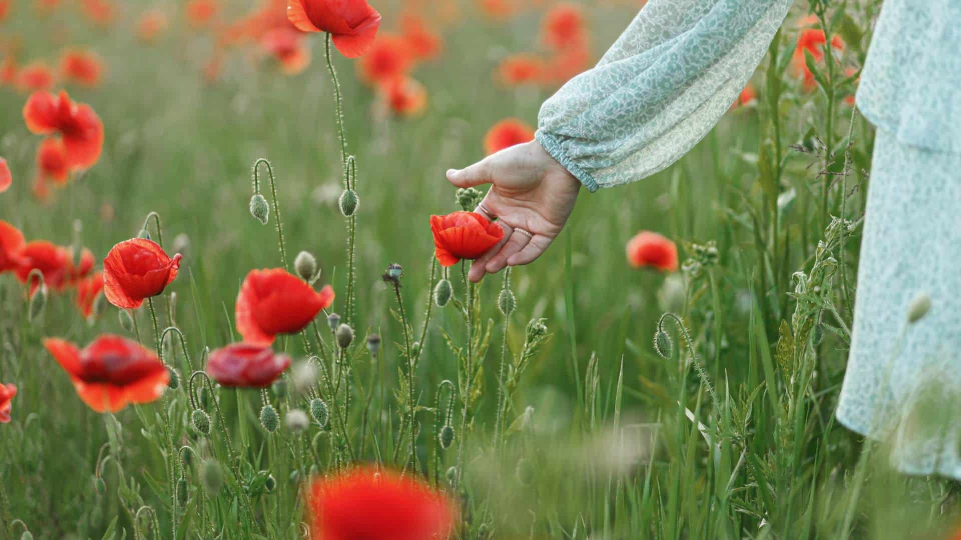 Disturbi della menopausa e ambiente